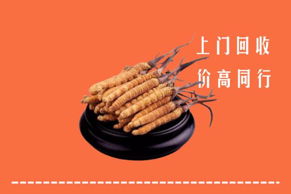 高价求购：双滦区回收散虫草