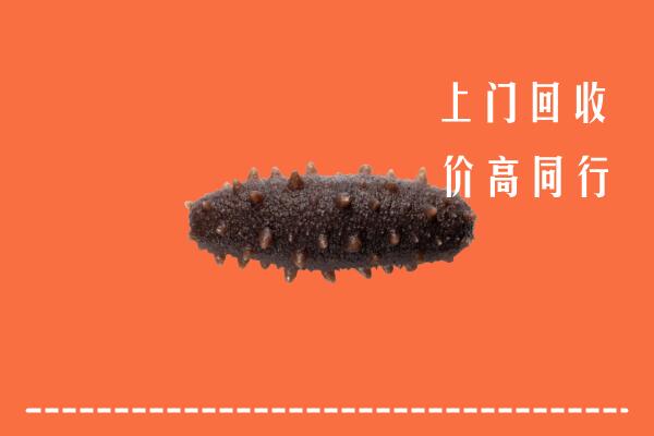 高价求购：双滦区回收海参