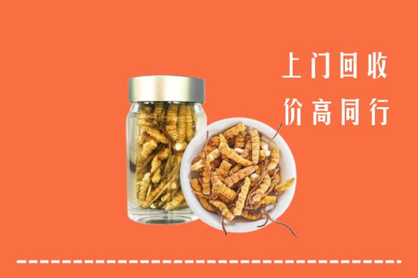 双滦区回收冬虫夏草
