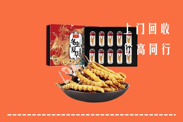 双滦区回收虫草